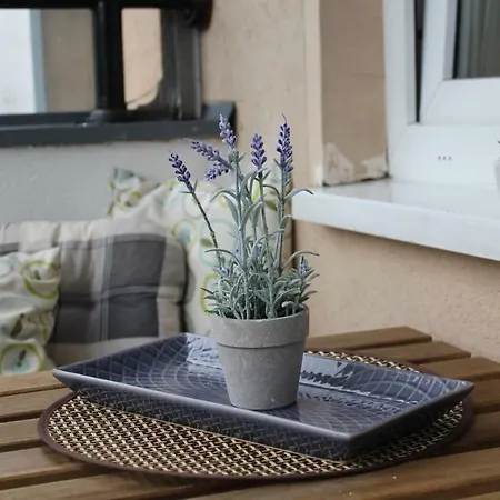 Very Cozy * Novi Sad