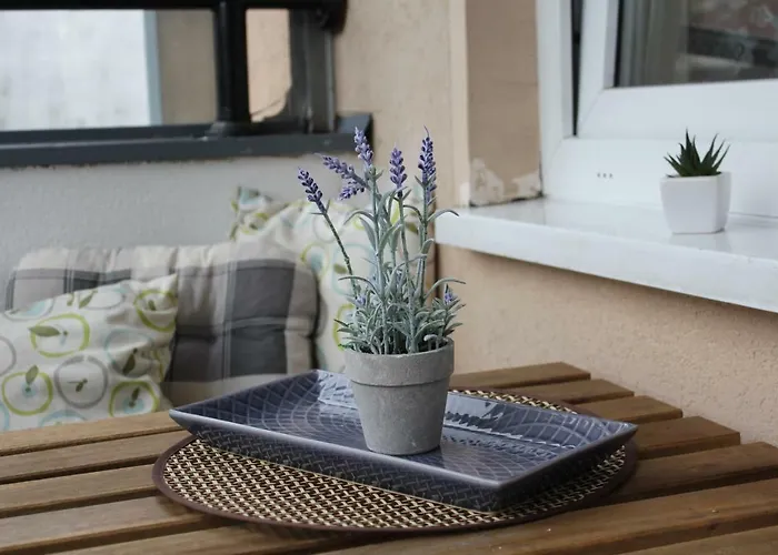 Very Cozy * Novi Sad